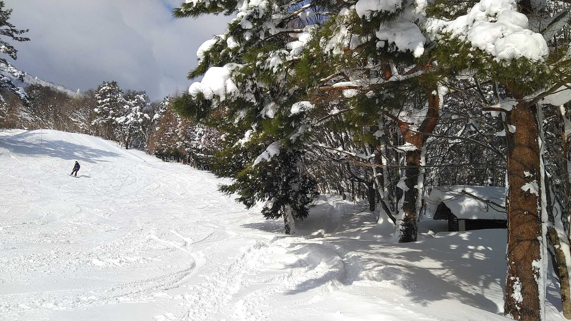 5_左のゲレンデを横目にいざ入山🎵
登山者も登りは条件付きでカヤバタリフトを使えるみたいだが、もちろんそんなものは使わん😁
https://osorakan.co.jp/winter/2025/01/17/%e6%81%90%e7%be%85%e6%bc%a2%e7%99%bb%e5%b1%b1%e8%80%85%e3%81%ae%e5%af%be%e5%bf%9c%e3%81%ab%e3%81%a4%e3%81%84%e3%81%a6/