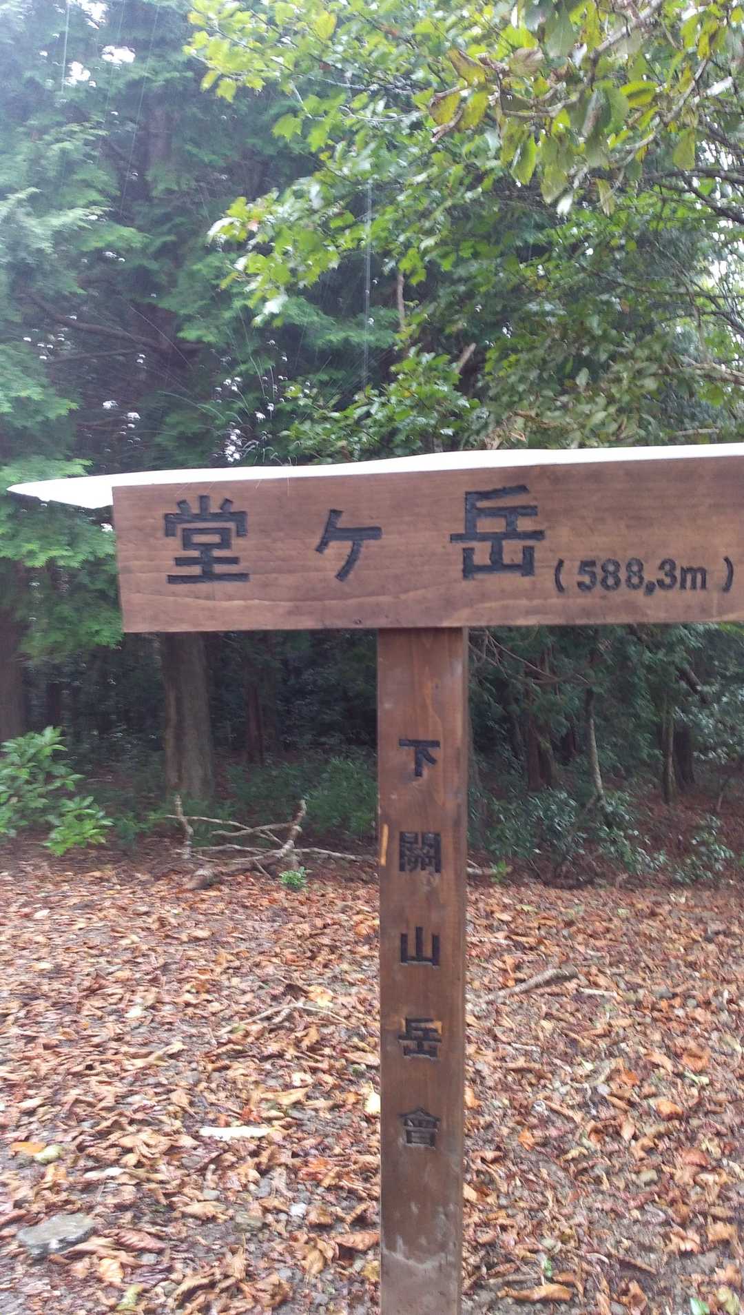 やっと到着、堂ヶ岳山頂。