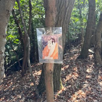 これなんやろ？