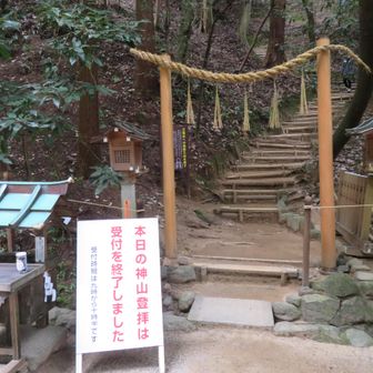 今日は、登りませんでした。