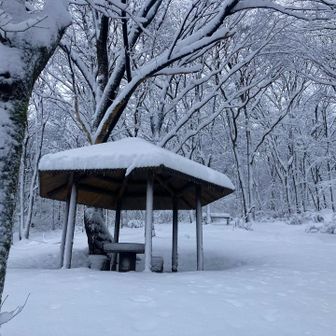 東屋でインナーを脱ぐ💦
