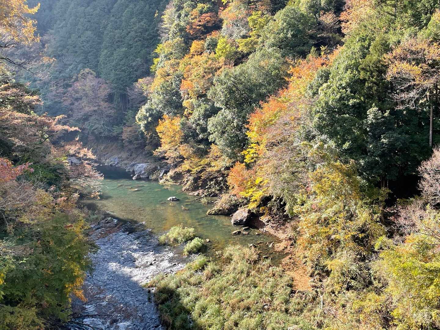 登計橋-登計トレイル-愛宕山 周回コースの写真