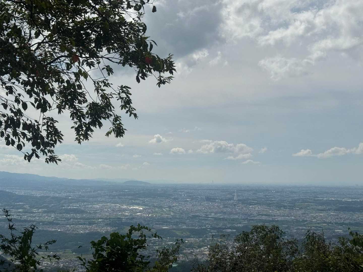 関屋駅-田尻東バス停-取り付き-屯鶴峯-ダイヤモンドトレー 縦走コースの写真