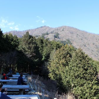 見晴台からの大山