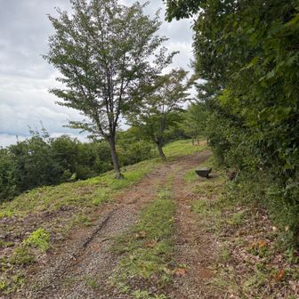 戻り
駐車箇所で刈り払いの方に再度感謝の意を伝え
栃窪山の入口を教えてもらい栃窪山へ
重ね重ね感謝🙏