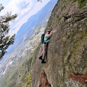 そして、きのこ大ピンチ！！！！