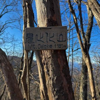 漢字表記だと、

鬼止化山 らしいです

それにしても西上州の山名板はかっこいい