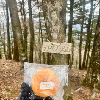 ここで初補給。岩手県のカナンの園(カナン牧場)のパン。たまたま昨日バザーで入手出来たので行動食に🩷優しい味がして美味しい。