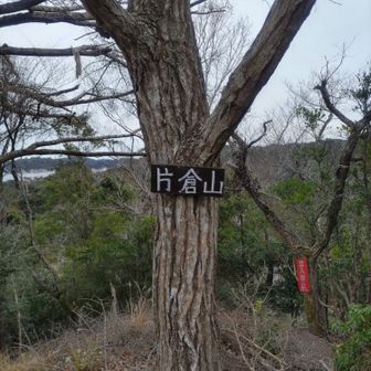 グレピゲット🎊