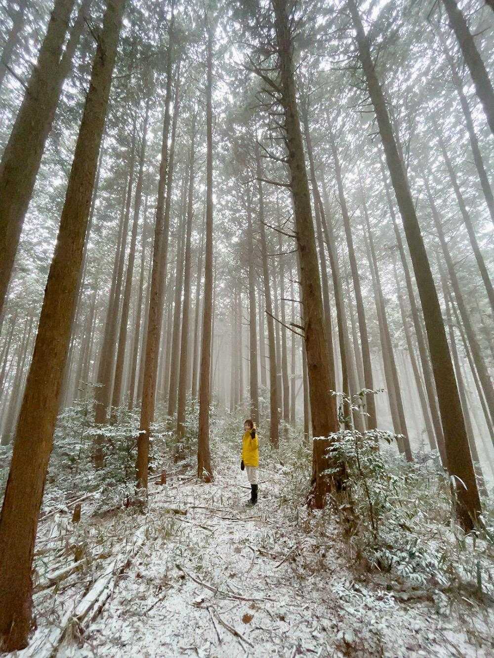 景色見えなくていい。雪止んで〜と願っていたら、ちょっと雪止んだ❄️

とても静かな山でした。
寒過ぎて動物も人もいません。