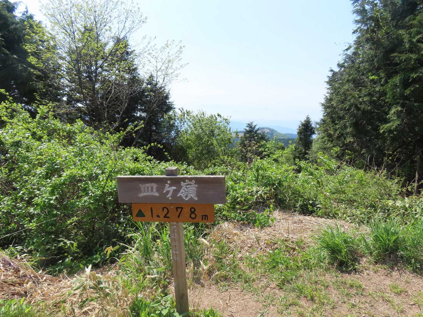山頂