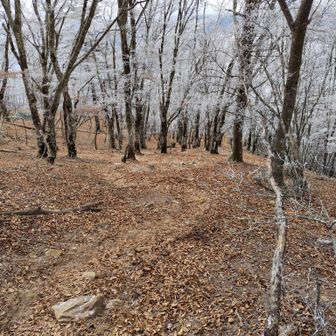 どんどん降って行きます。