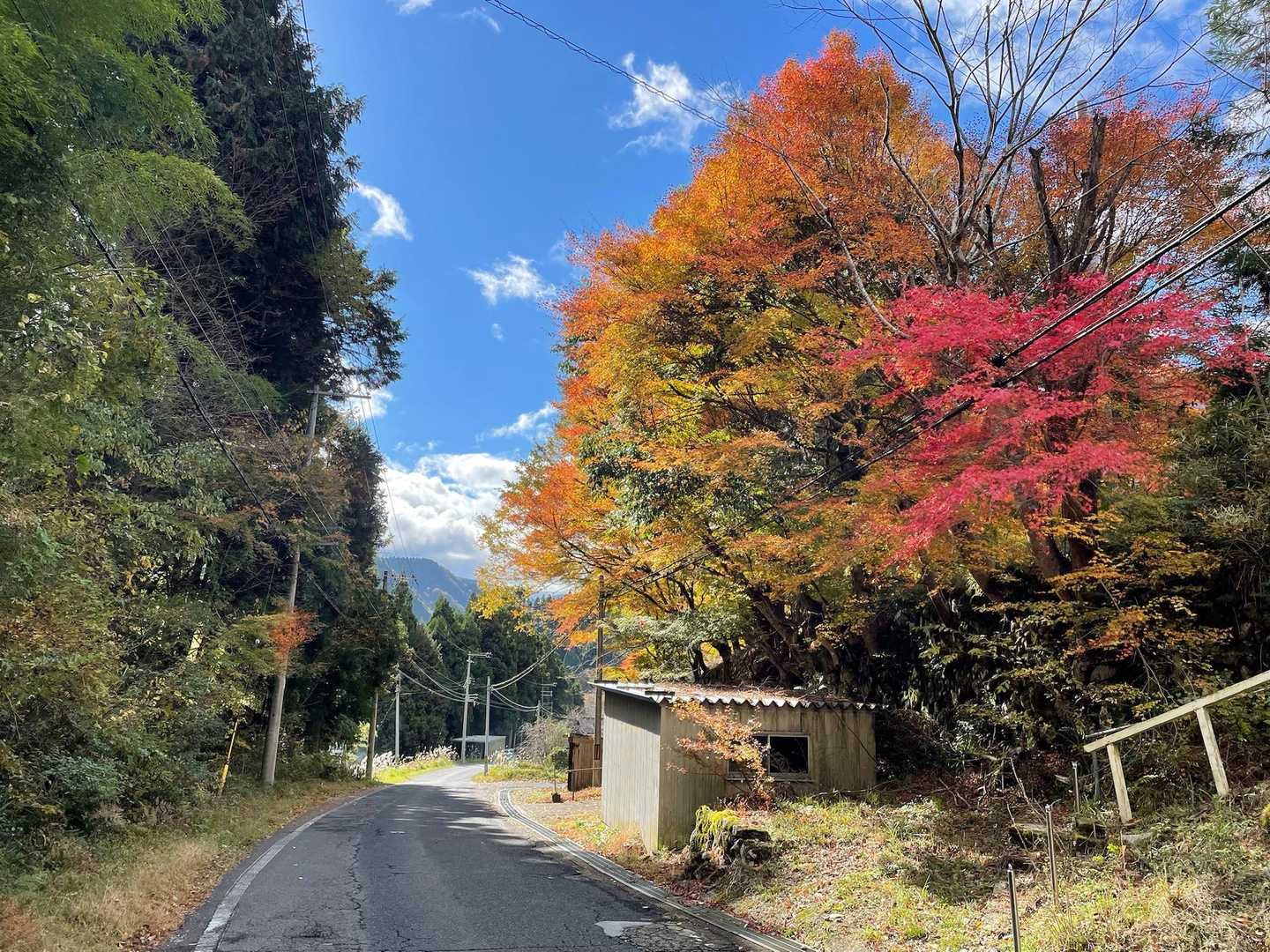 　　　　　駐車場までロード歩き😙