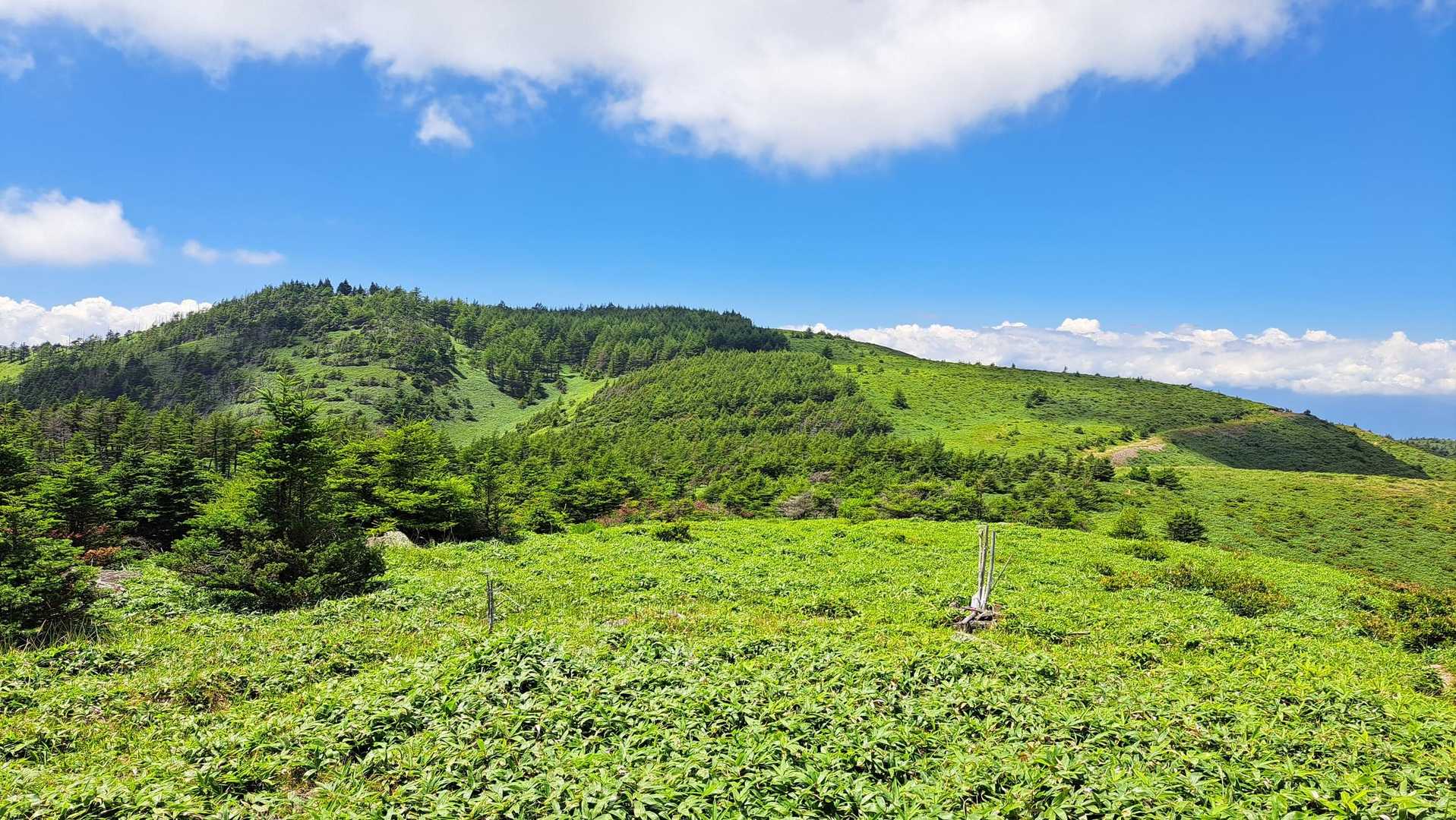　最後は鉢伏山へ。なだらかで優しい山容。