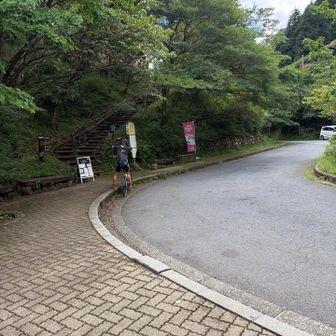 ヤビツ峠からスタート