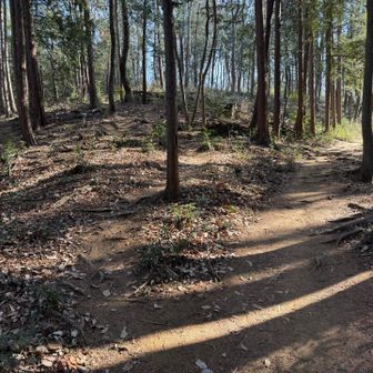 続いて神久山へ、左の小さな道におれます。「しんきゅうやま」も地味に難読