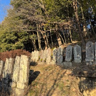 観音様が百体あるそうです🙏