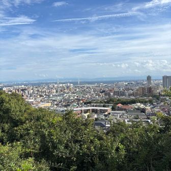 小高いところでこんな景色！良い！