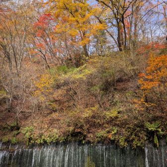 白糸の滝、紅葉コラボバージョン