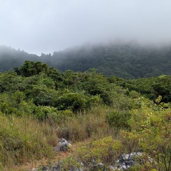 ガスに覆われた足立山