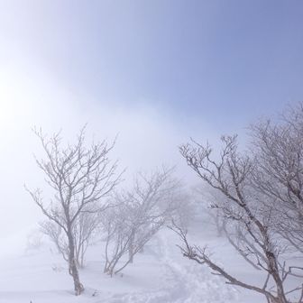 うわーーーっ！
あおぞらーーー

めっちゃ笑顔に^ ^