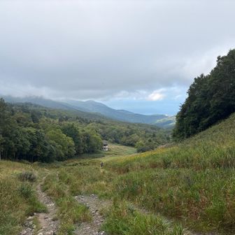戻ってきたよ🚶‍♀️