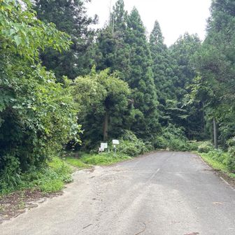 ここまで車で来れる！
今日のルートは写真の手前から