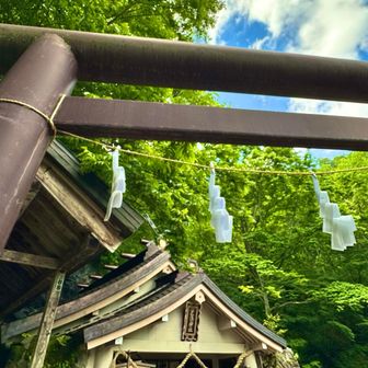 奥社参拝します。
失礼します。