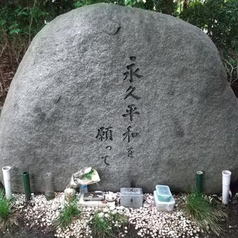 元・神の遣わし少年