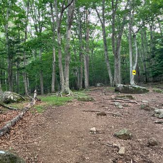 7、瑞牆山へ②
最初は緩やかな道が続く