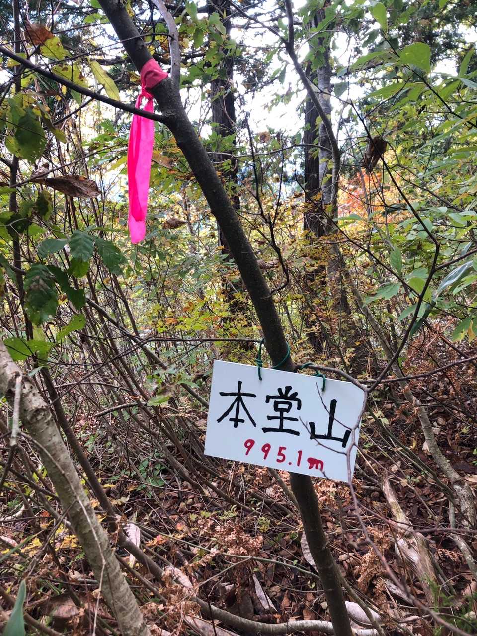 山頂へ！先人の方々がつけてくださった標識🙇‍♂️