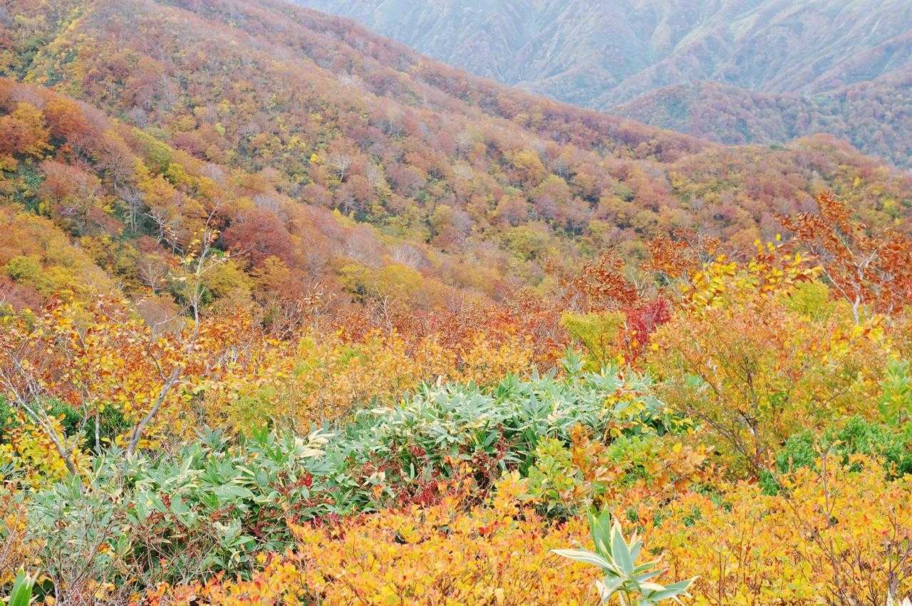 ここまで歩いたからこそのご褒美ですね