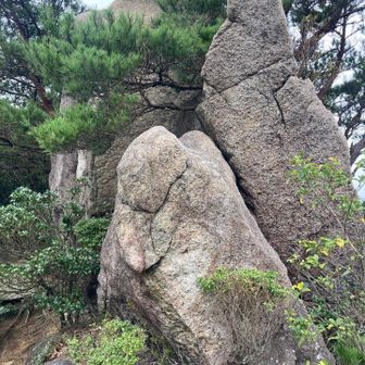 うす岩ときね岩