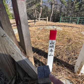 永明寺山登頂🙌