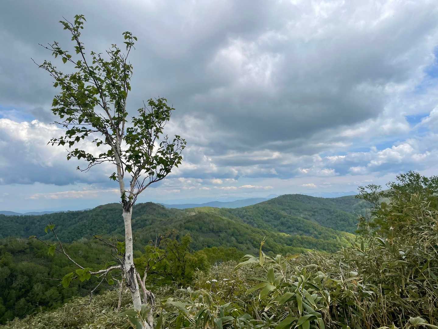 剣山-音江山 往復コースの写真
