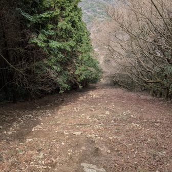 激下りが来た。
ほんとありえないほどの急登をおりていきます。