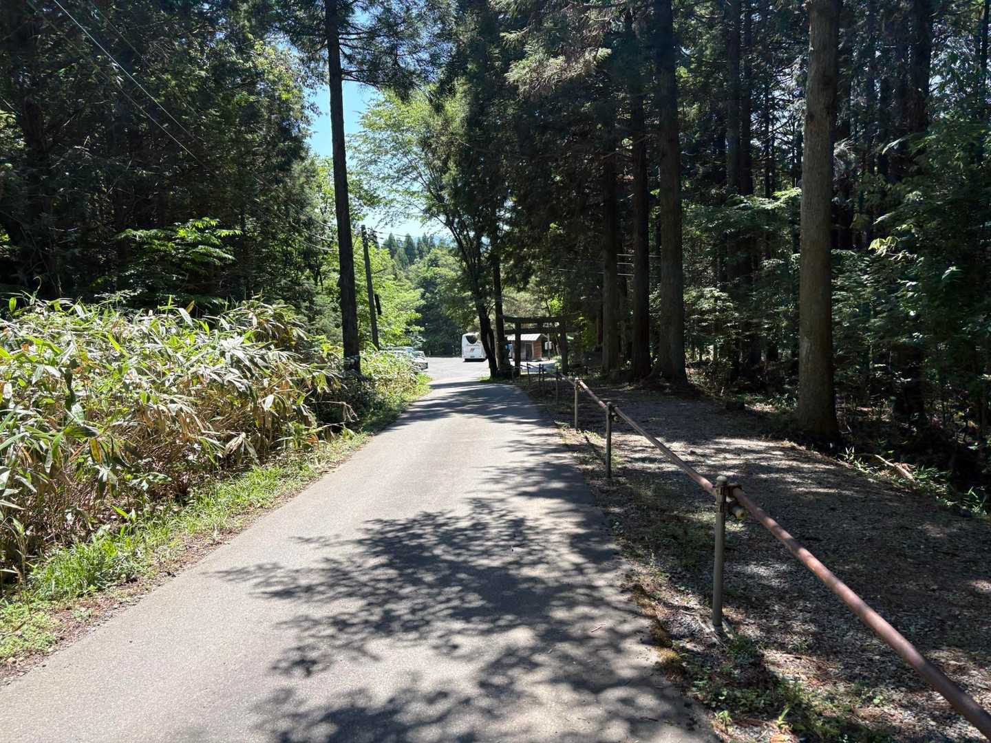 井水山に30人ほど休憩されていたのでのぞき岩はやめましたがこのバス関係かな