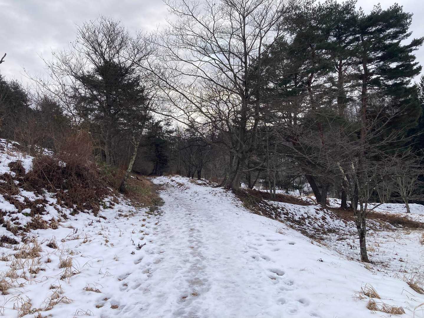 早速、雪道
