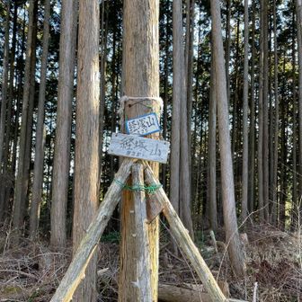 経塚山⛰️ここで折り返し