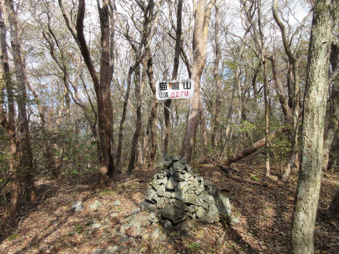 猫鳴山山頂。
こちらも季節感のない地味な山頂。