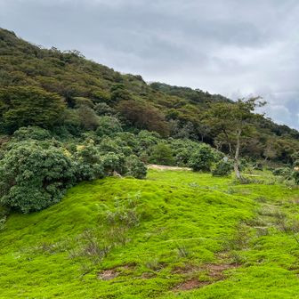 最後に景色見ながらちょっと休憩して