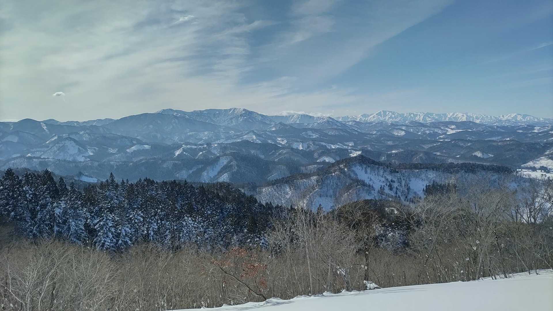 愛宕山 往復コースの写真