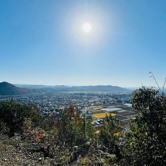 今日は天気がいい☀️
まるで春の陽気