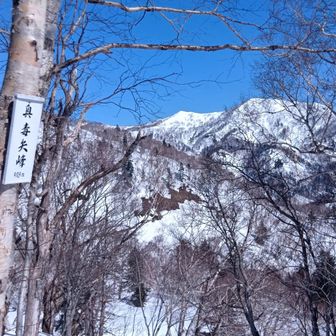 奥毒矢まで降りてきました。
