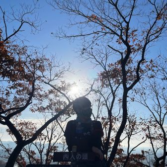 西入の頭とうちの頭！
389