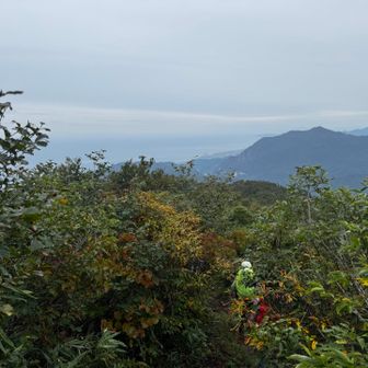 白鳥小屋からは日本海が見えた！が、ここからが長かった。。