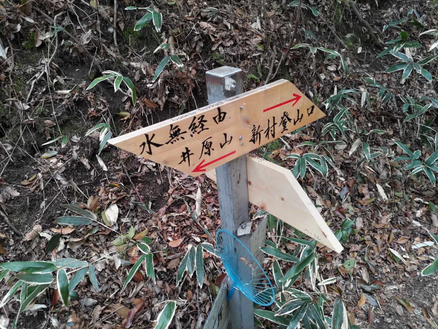 稜線に出た！