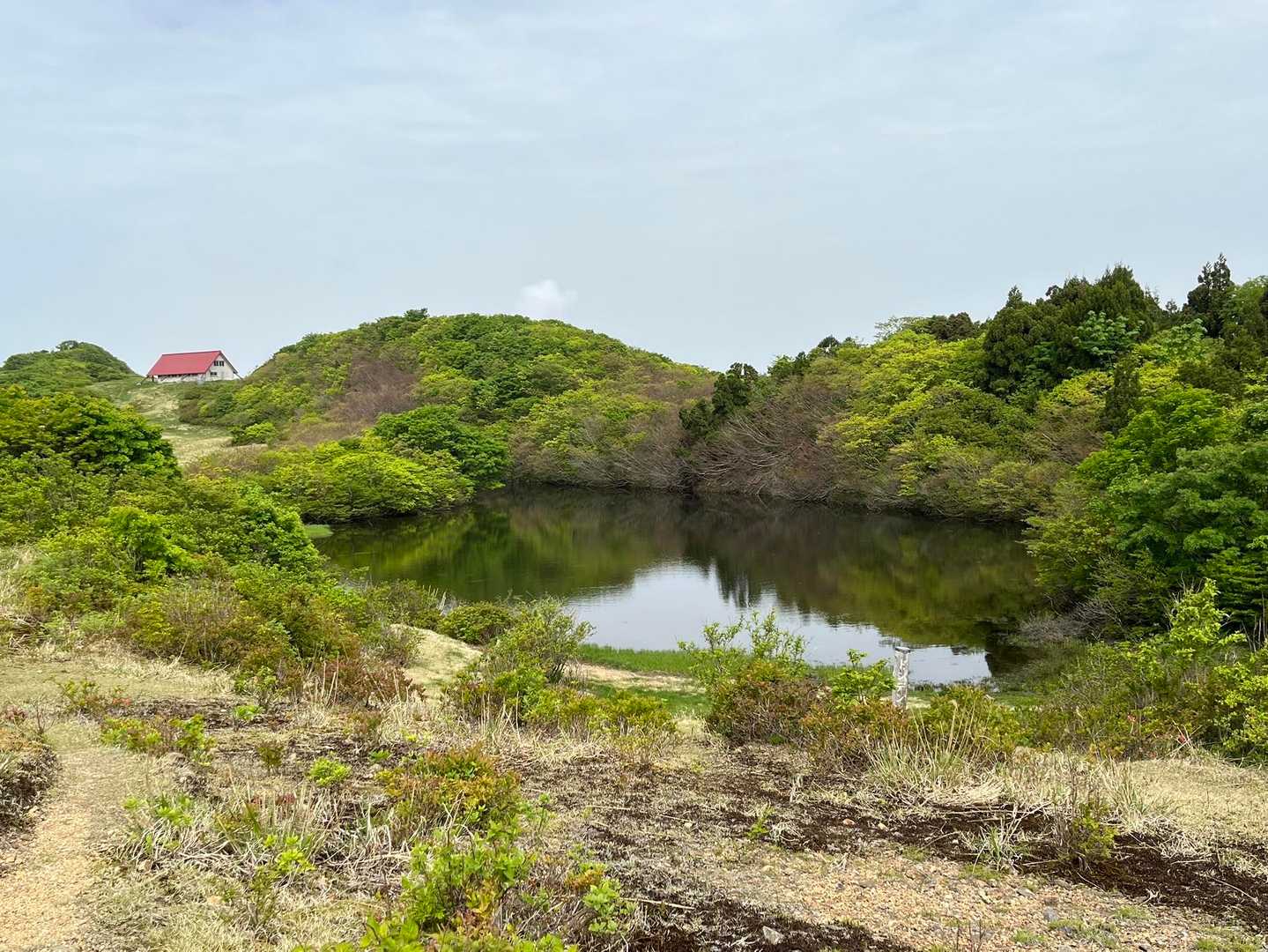 尻立山-論天山-芝尻山 往復コースの写真