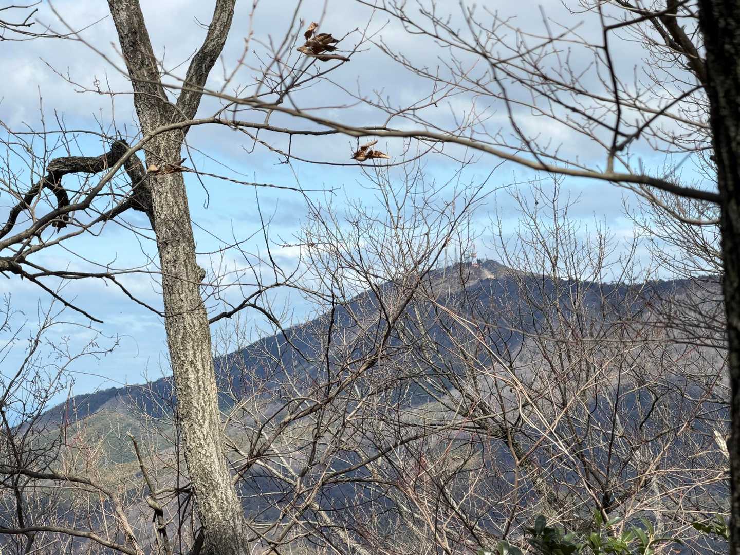 大麻山の山頂が見えました