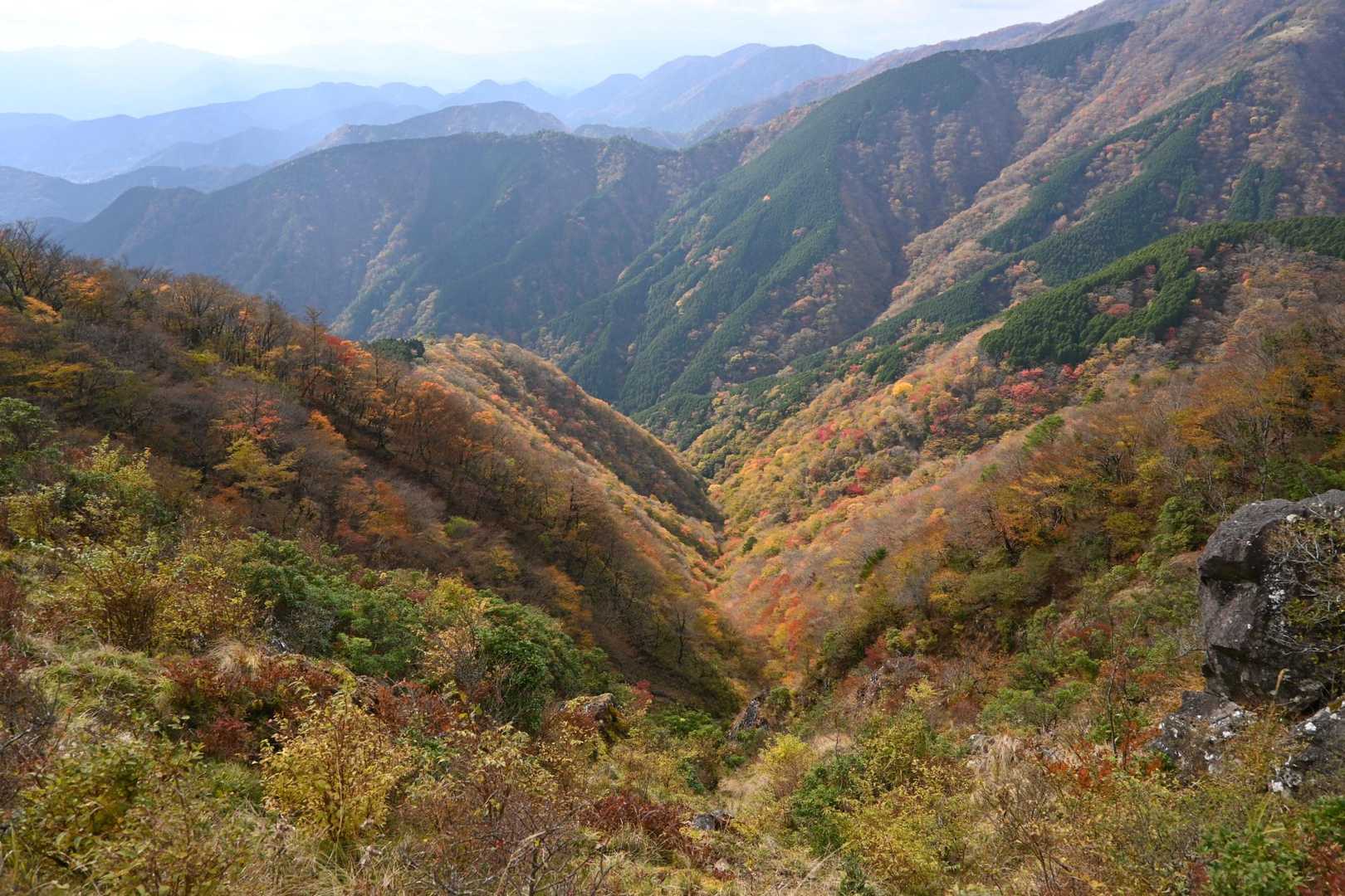 V字谷🍁